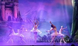 独舞天鹅爆料视频大全下载,揭秘幕后精彩瞬间